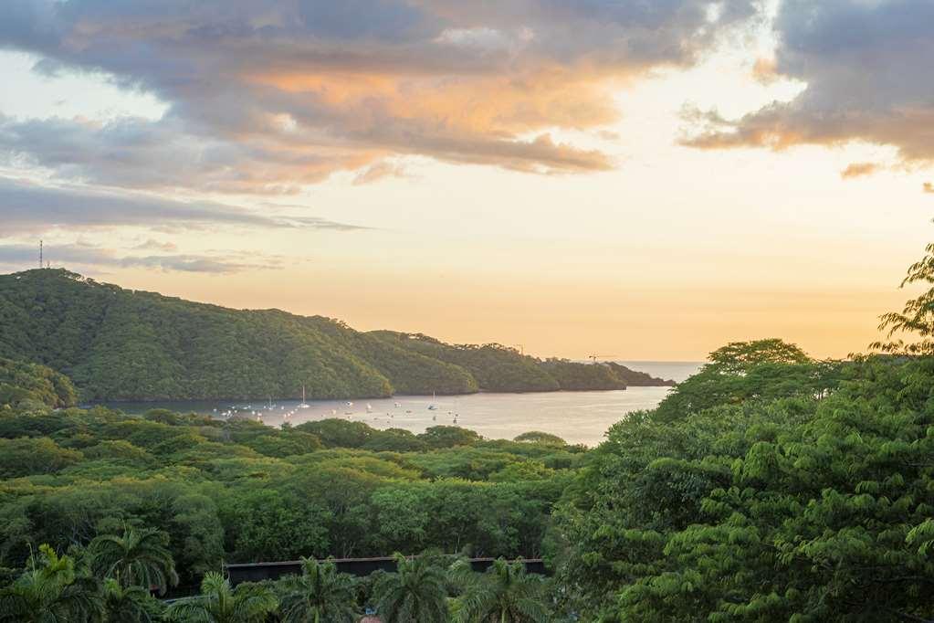 Villas Sol And Beach Resort プラヤ・エルモサ 自然 写真